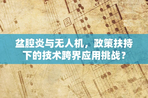 盆腔炎与无人机，政策扶持下的技术跨界应用挑战？