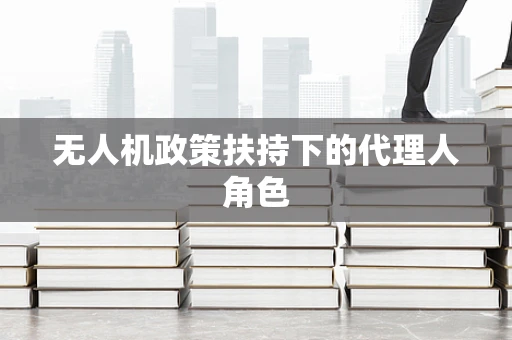 无人机政策扶持下的代理人角色