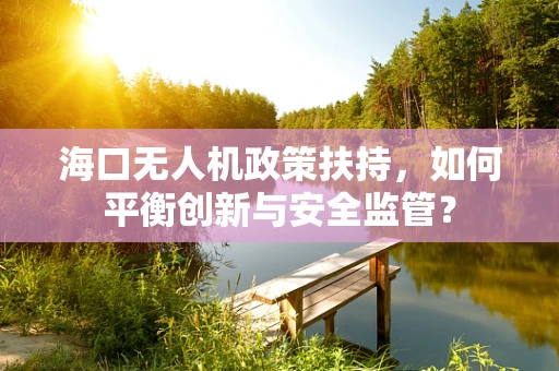 海口无人机政策扶持，如何平衡创新与安全监管？