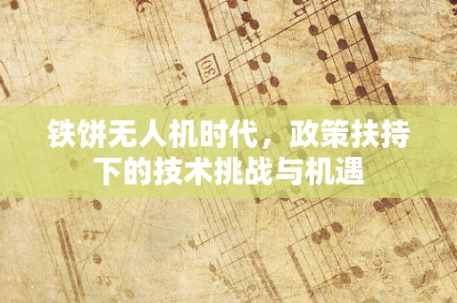 铁饼无人机时代，政策扶持下的技术挑战与机遇