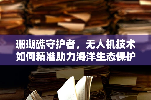 珊瑚礁守护者，无人机技术如何精准助力海洋生态保护？