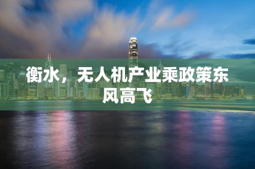 衡水，无人机产业乘政策东风高飞