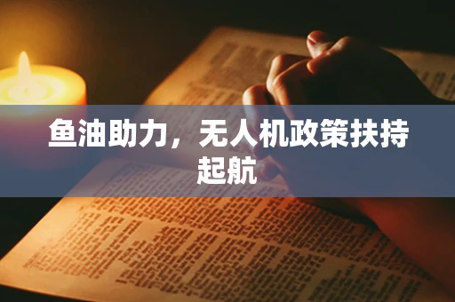鱼油助力，无人机政策扶持起航
