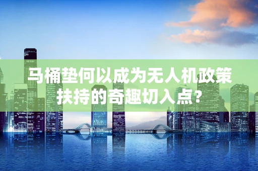 马桶垫何以成为无人机政策扶持的奇趣切入点？