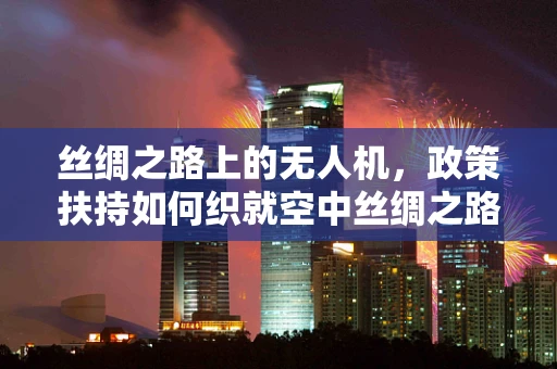 丝绸之路上的无人机，政策扶持如何织就空中丝绸之路的未来？