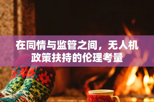在同情与监管之间，无人机政策扶持的伦理考量