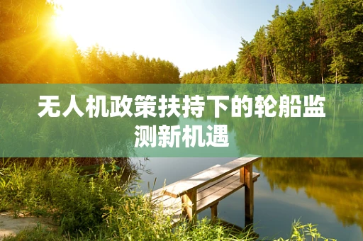 无人机政策扶持下的轮船监测新机遇