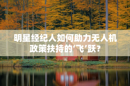 明星经纪人如何助力无人机政策扶持的‘飞’跃？