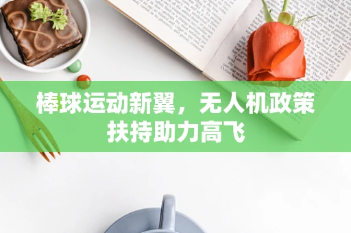 棒球运动新翼，无人机政策扶持助力高飞