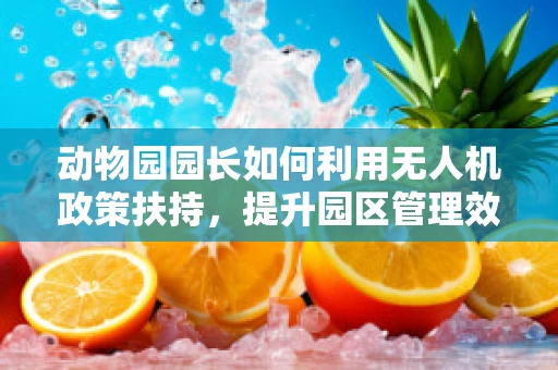 动物园园长如何利用无人机政策扶持，提升园区管理效率？