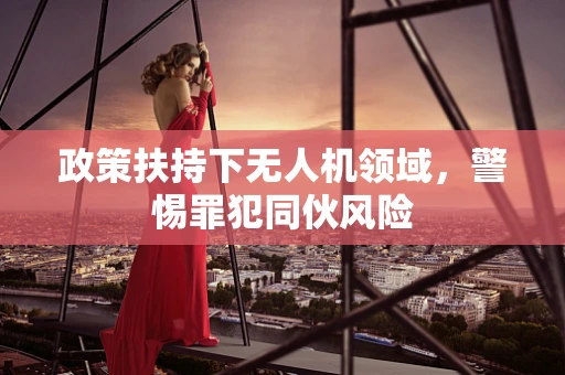 政策扶持下无人机领域，警惕罪犯同伙风险