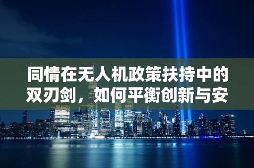 同情在无人机政策扶持中的双刃剑，如何平衡创新与安全？