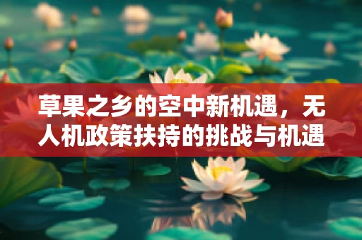 草果之乡的空中新机遇，无人机政策扶持的挑战与机遇？