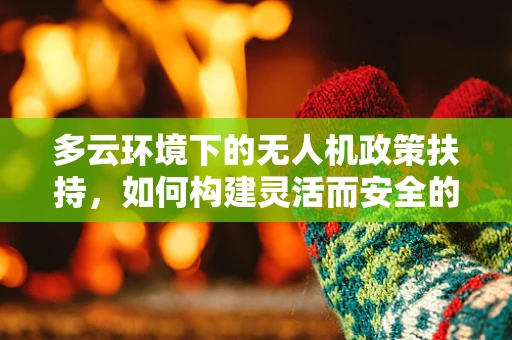 多云环境下的无人机政策扶持，如何构建灵活而安全的空中交通？