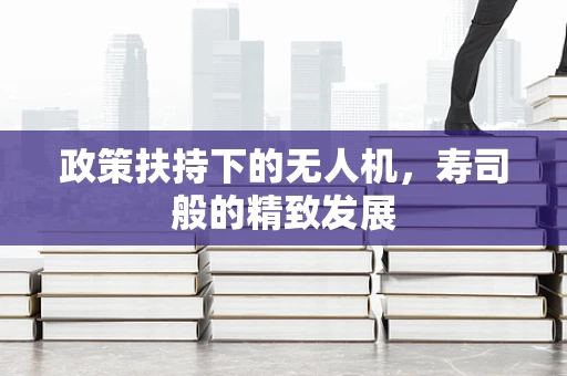 政策扶持下的无人机，寿司般的精致发展