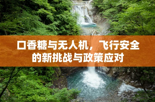 口香糖与无人机，飞行安全的新挑战与政策应对
