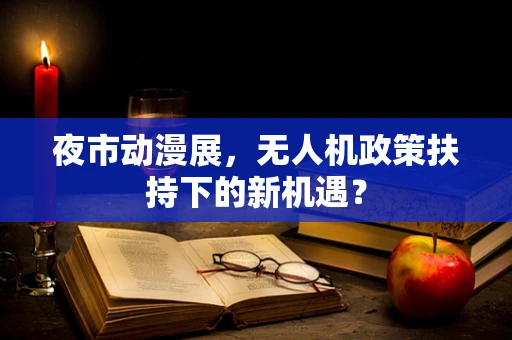 夜市动漫展，无人机政策扶持下的新机遇？