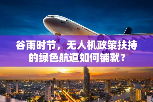 谷雨时节，无人机政策扶持的绿色航道如何铺就？