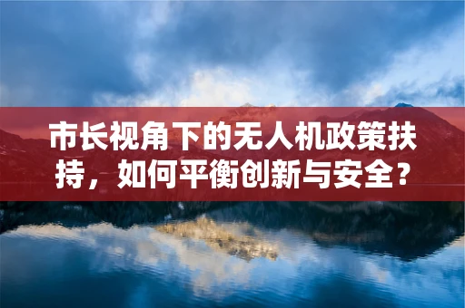市长视角下的无人机政策扶持，如何平衡创新与安全？