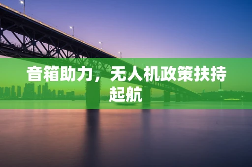 音箱助力，无人机政策扶持起航