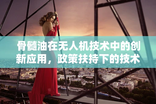 骨髓油在无人机技术中的创新应用，政策扶持下的技术难题与机遇