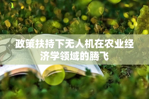 政策扶持下无人机在农业经济学领域的腾飞