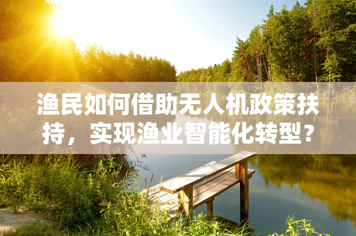 渔民如何借助无人机政策扶持，实现渔业智能化转型？