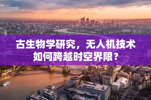 古生物学研究，无人机技术如何跨越时空界限？