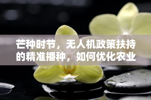 芒种时节，无人机政策扶持的精准播种，如何优化农业无人机补贴政策？
