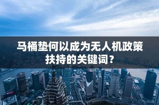 马桶垫何以成为无人机政策扶持的关键词？