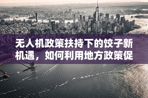 无人机政策扶持下的饺子新机遇，如何利用地方政策促进无人机配送服务创新？