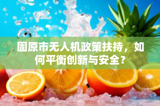 固原市无人机政策扶持，如何平衡创新与安全？
