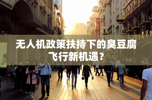 无人机政策扶持下的臭豆腐飞行新机遇？