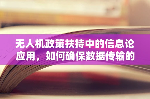 无人机政策扶持中的信息论应用，如何确保数据传输的安全与效率？