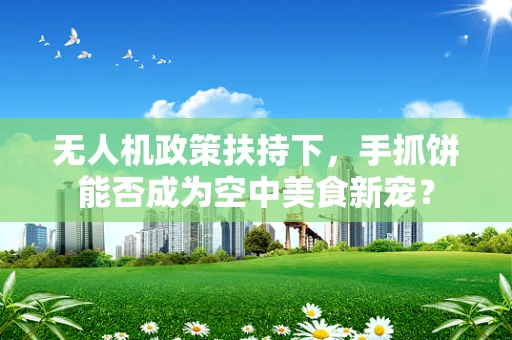 无人机政策扶持下，手抓饼能否成为空中美食新宠？