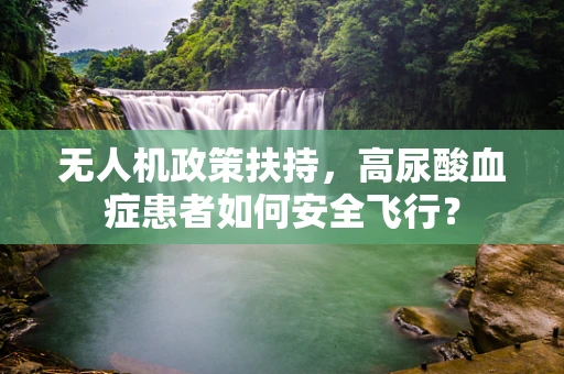 无人机政策扶持，高尿酸血症患者如何安全飞行？