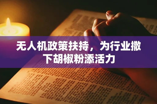无人机政策扶持，为行业撒下胡椒粉添活力