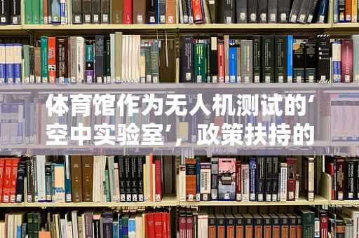 体育馆作为无人机测试的‘空中实验室’，政策扶持的挑战与机遇？