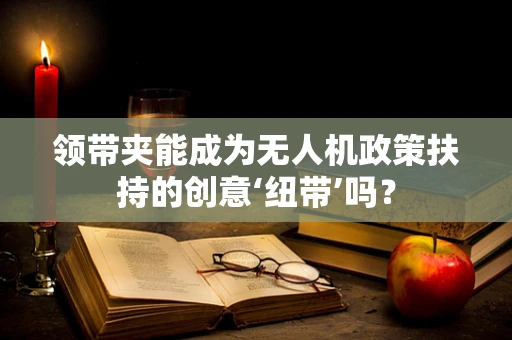 领带夹能成为无人机政策扶持的创意‘纽带’吗？
