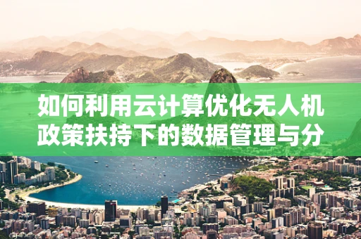 如何利用云计算优化无人机政策扶持下的数据管理与分析？