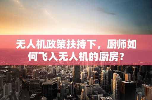 无人机政策扶持下，厨师如何飞入无人机的厨房？