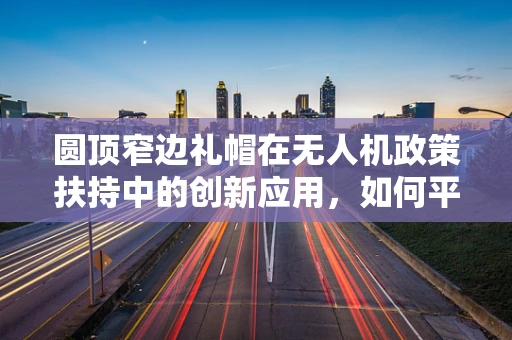 圆顶窄边礼帽在无人机政策扶持中的创新应用，如何平衡安全与自由？