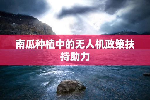 南瓜种植中的无人机政策扶持助力