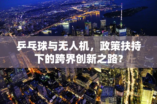 乒乓球与无人机，政策扶持下的跨界创新之路？
