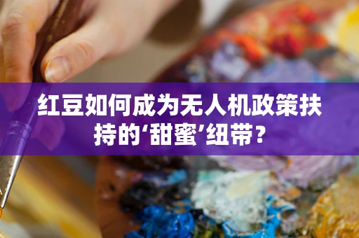 红豆如何成为无人机政策扶持的‘甜蜜’纽带？