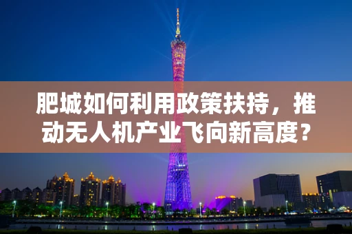 肥城如何利用政策扶持，推动无人机产业飞向新高度？
