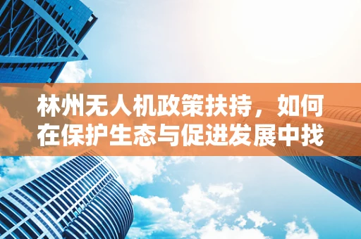 林州无人机政策扶持，如何在保护生态与促进发展中找到平衡点？