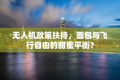 无人机政策扶持，面包与飞行自由的甜蜜平衡？