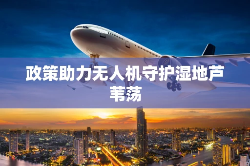 政策助力无人机守护湿地芦苇荡