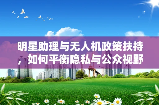 明星助理与无人机政策扶持，如何平衡隐私与公众视野的边界？